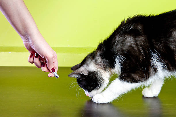 Die Vorteile von einem Laserpointer Grün im praktischen Einsatz